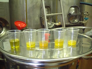 アブルッツォ_e0000266_19331390.jpg