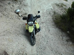 c0041068_12362638.jpg