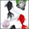 c0033992_11495872.gif