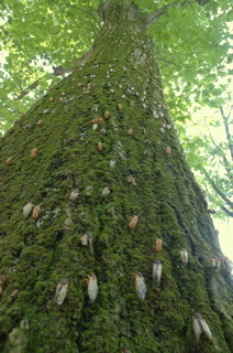 c0037400_22362469.jpg