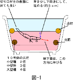 b0012811_9524112.gif