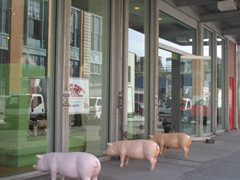 c0064534_1351430.jpg