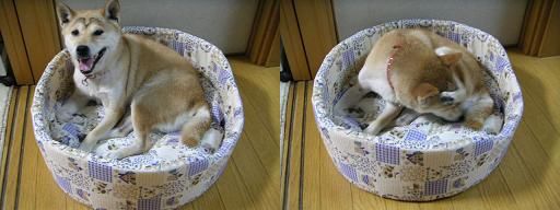 きょうも。。。_c0049950_2353548.jpg