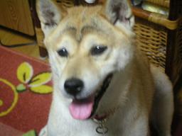 きょうも。。。_c0049950_23543452.jpg