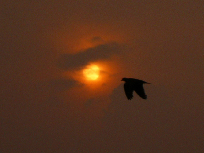 c0030874_72877.jpg