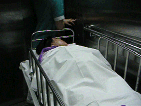 b0026822_16441553.gif