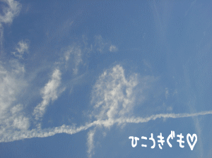 e0048030_2063871.gif