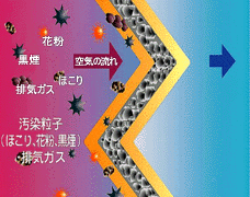 c0008243_17533888.gif