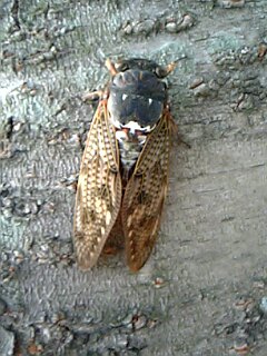 c0037701_2322455.jpg