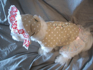 d0000559_13183554.gif