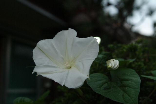 b0027880_22564257.jpg