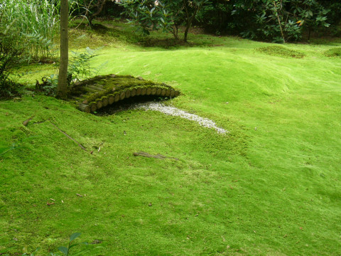 暑い京都の涼しいところ (2005-08-14-SUN-2)_c0031472_1428545.jpg