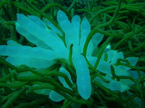a0030792_3302912.jpg