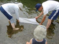 c0067106_21493340.jpg
