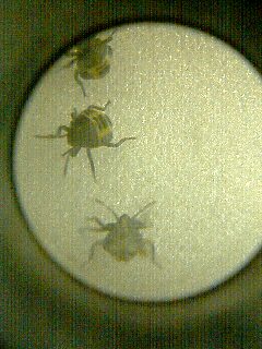うっ!でたぁぁっ_b0049307_022571.jpg