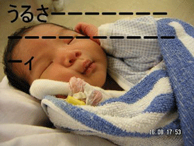b0026822_2501710.gif