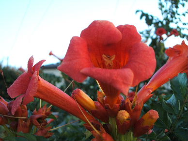 c0065744_14424868.jpg