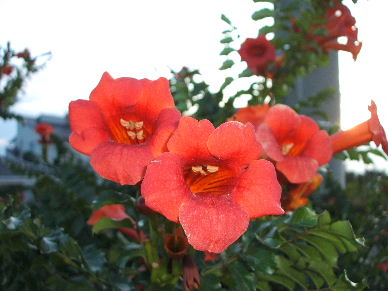 c0065744_14432772.jpg