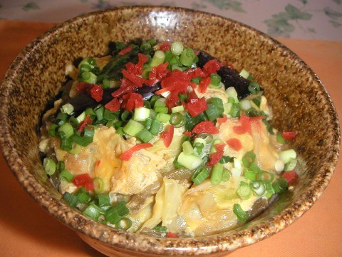 あきの昼ご飯は夏野菜の卵綴じ丼です。_b0033423_1144082.jpg