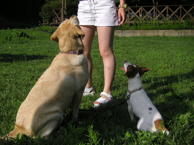 c0035931_12699.jpg