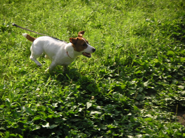 c0035931_12976.jpg
