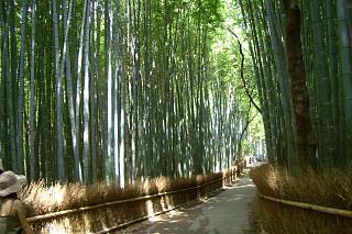 竹林の道･天竜寺_d0032536_10372121.jpg