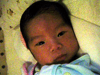b0026822_19565544.gif