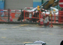 b0026822_2019978.gif