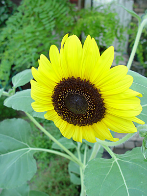 e0001735_010324.jpg