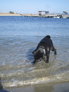 b0035453_11491274.gif