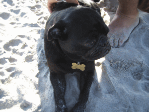 b0035453_11503623.gif
