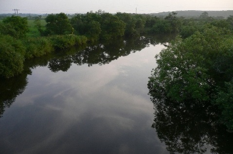 b0068572_17501282.jpg