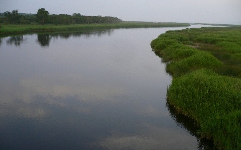 b0068572_1751982.jpg