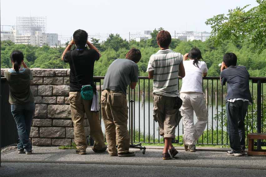 ★頑張れ「ワカゾウ」!_e0046474_21553855.jpg
