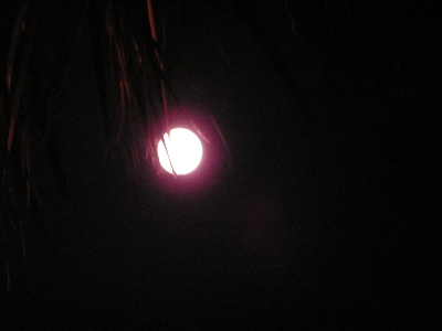 d0032693_2014789.jpg