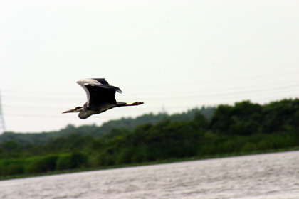 b0026110_9155022.jpg