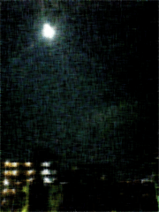 e0019811_071177.gif