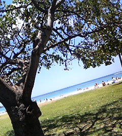 d0065116_21244396.jpg