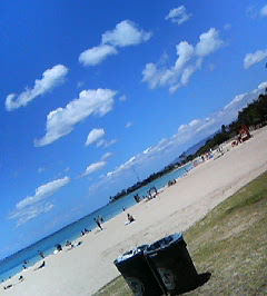 d0065116_21255255.jpg