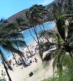 d0065116_22351598.jpg
