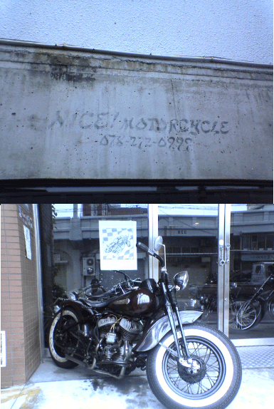 c0006028_8195067.gif