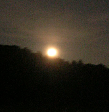 感激、北鎌倉の夜空に輝く満月をゲット！（２００５・８・２０）_c0014967_2239483.jpg