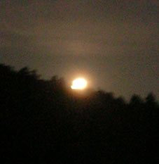 感激、北鎌倉の夜空に輝く満月をゲット！（２００５・８・２０）_c0014967_22425811.jpg