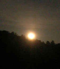 感激、北鎌倉の夜空に輝く満月をゲット！（２００５・８・２０）_c0014967_22442584.jpg