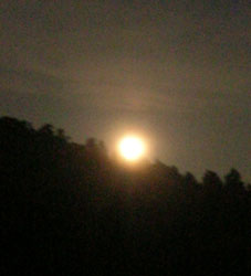 感激、北鎌倉の夜空に輝く満月をゲット！（２００５・８・２０）_c0014967_2244469.jpg