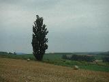 c0051376_1103056.jpg