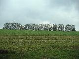 c0051376_111341.jpg