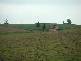 c0051376_182556.jpg