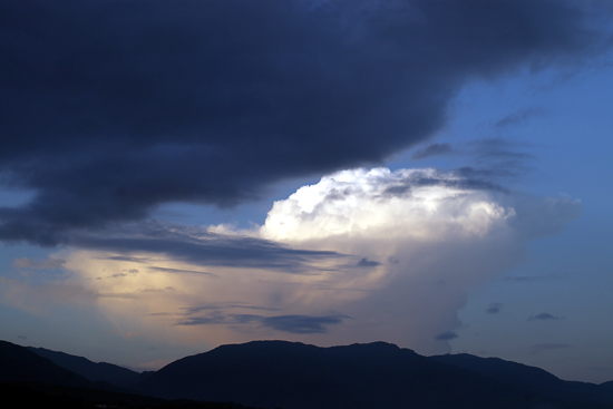 c0054876_63064.jpg