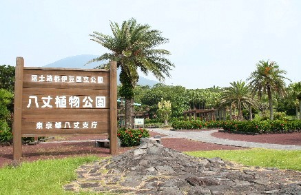 b0025850_13543086.jpg